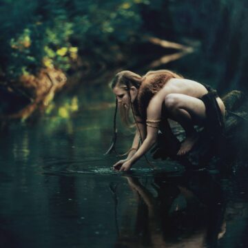 W poszukiwaniu pokojowego szympansa